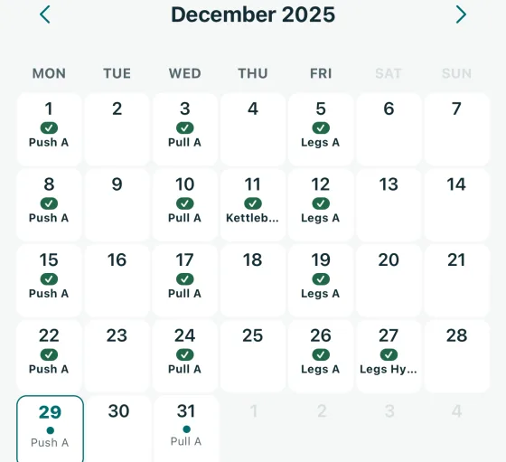 The Schedule calendar for December 2025, with ticks on trained days and dots on planned days.